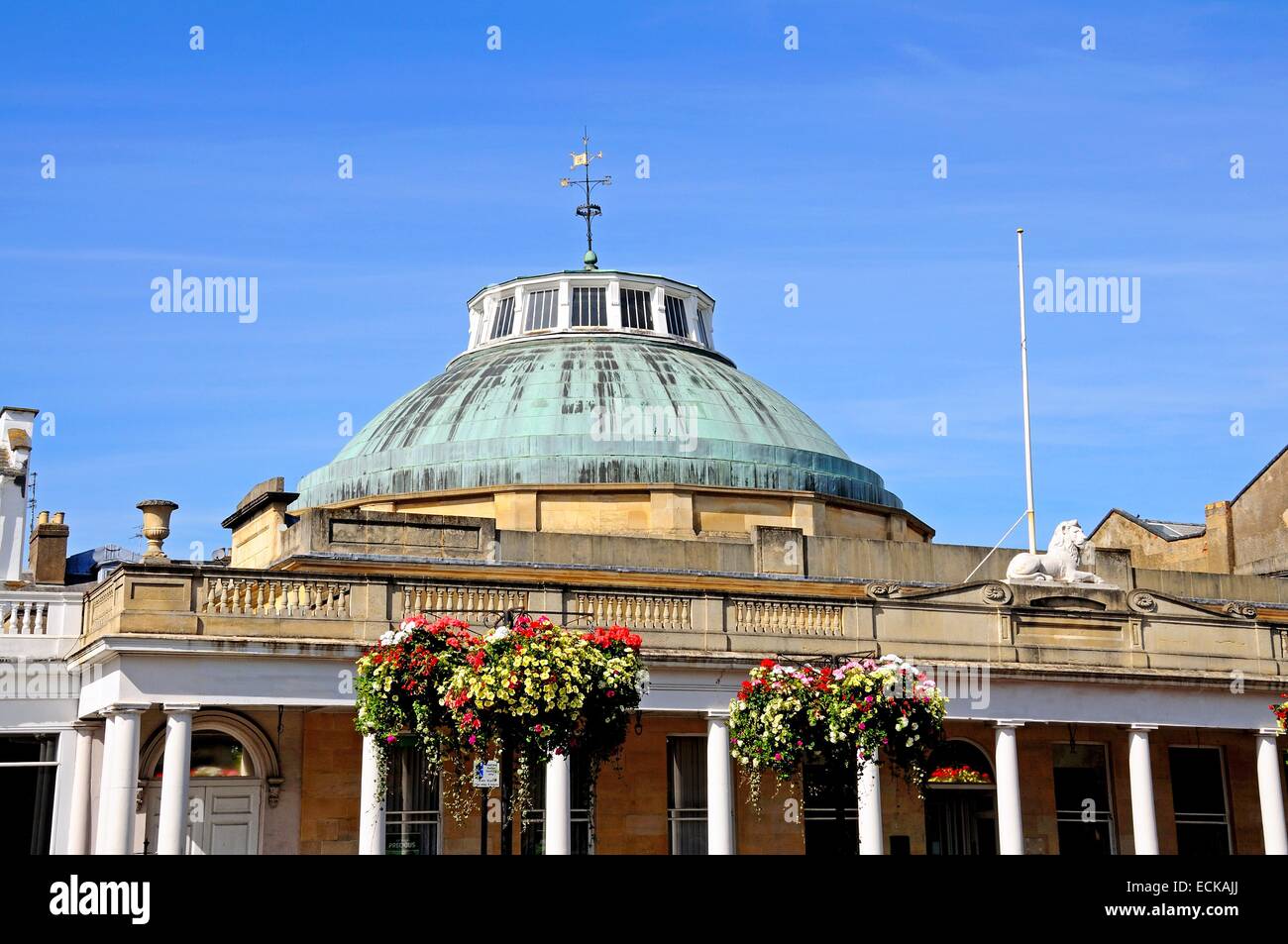 Blick auf die Rotunde von Montpellier, war früher ein Kurhaus und heute Lloyds Bank, Cheltenham, Gloucestershire, England, Stockfoto