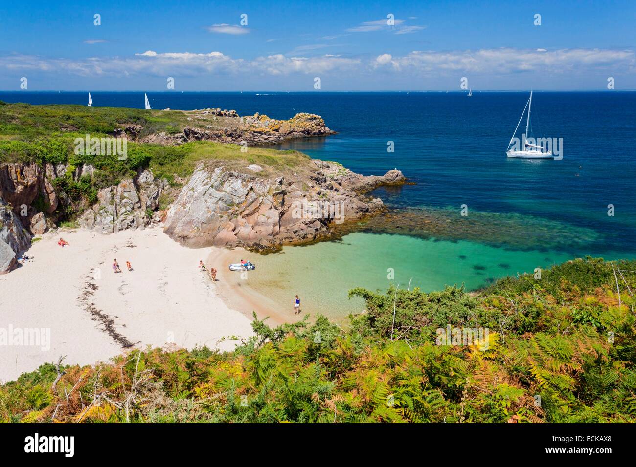 Frankreich, Morbihan, Ponant-Inseln, die Insel Houat, Wandern Sie entlang der Nordküste mit Blick auf den Golf von Morbihan Stockfoto