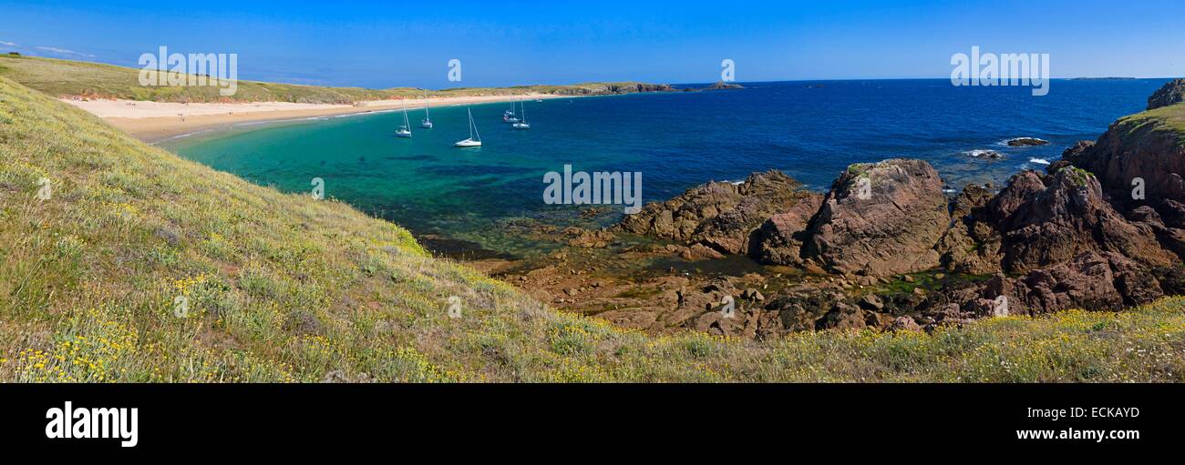 Frankreich, Morbihan, der Golf von Morbihan, Ponant-Inseln, die Insel Houat, Wandern Sie entlang der Südküste mit Blick auf den Atlantischen Ozean Stockfoto