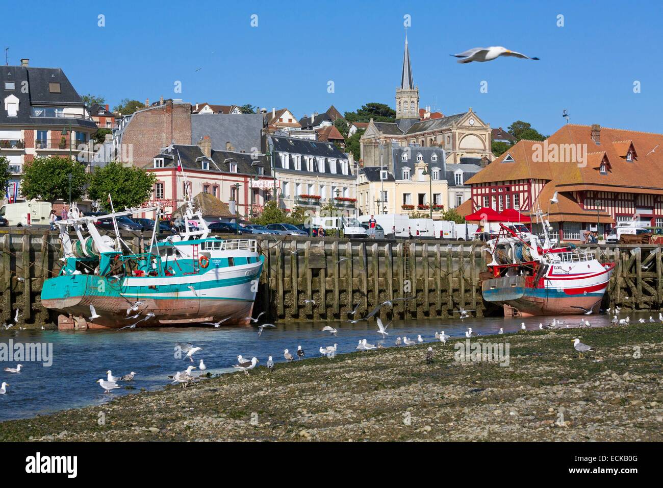 Frankreich, Calvados, Trouville Sur Mer, dem Hafen und dem Fischmarkt Stockfoto