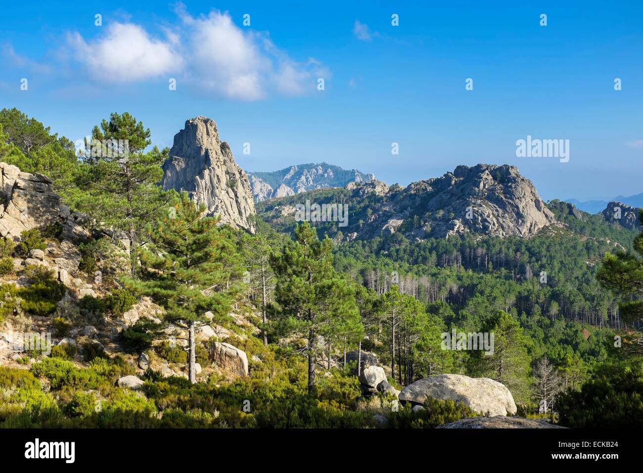 Frankreich, Corse du Sud, Wandern auf dem GR 20, zwischen Conca und ich Paliri Hütte, Punta de l ' Anima Damnata Stockfoto
