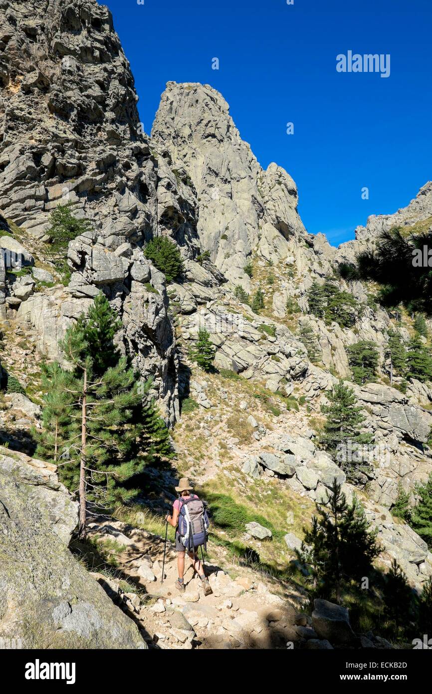 Frankreich, Corse du Sud, Wandern auf dem GR 20, zwischen ich Paliri Hütte und Asinao Zuflucht, alpine Variante Stockfoto
