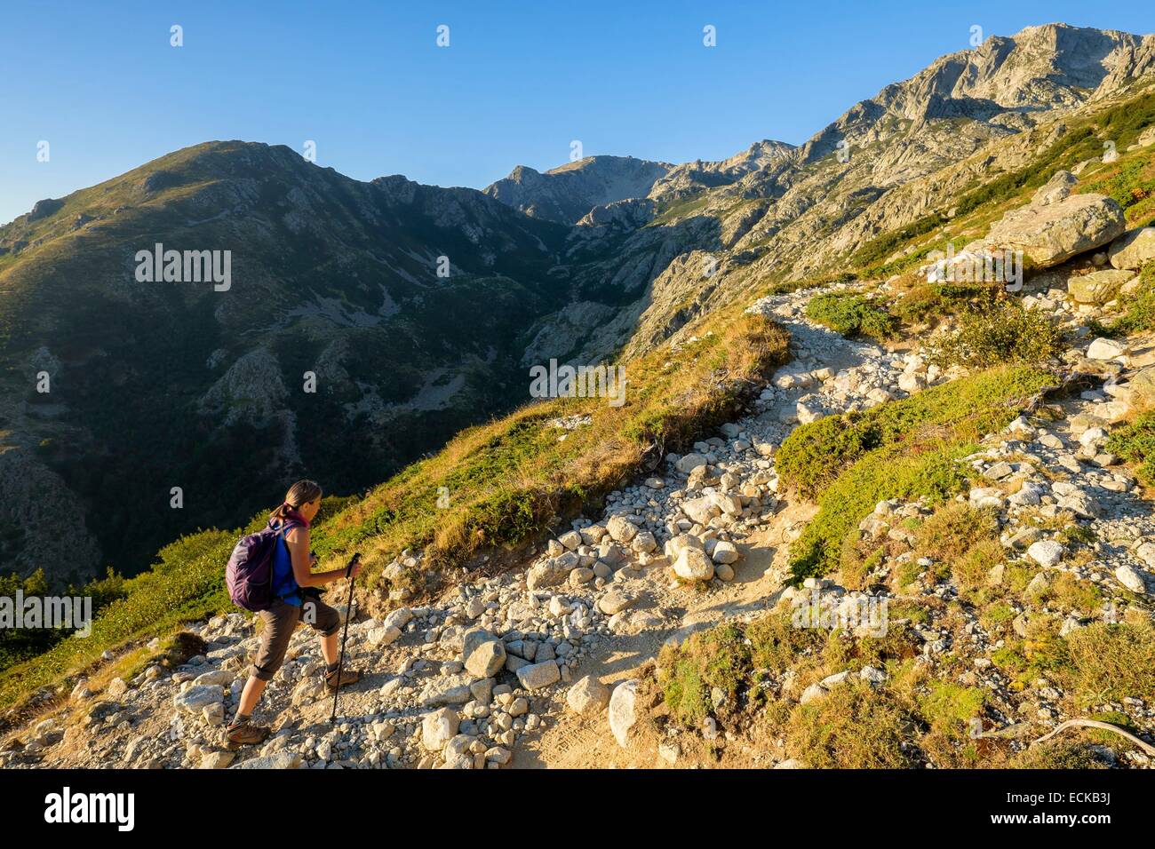 Frankreich, Haute-Corse, Wandern auf dem GR 20, Variante des Beines zwischen Prati Zuflucht und E Capannelle Zuflucht über Monte Renoso (Monte Rinosu oder Renosu) Stockfoto