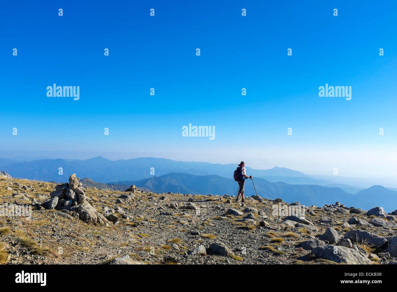 Frankreich, Haute-Corse, Wandern auf dem GR 20, Variante des Beines zwischen Prati Zuflucht und E Capannelle Zuflucht über Monte Renoso (Monte Rinosu oder Renosu) Stockfoto