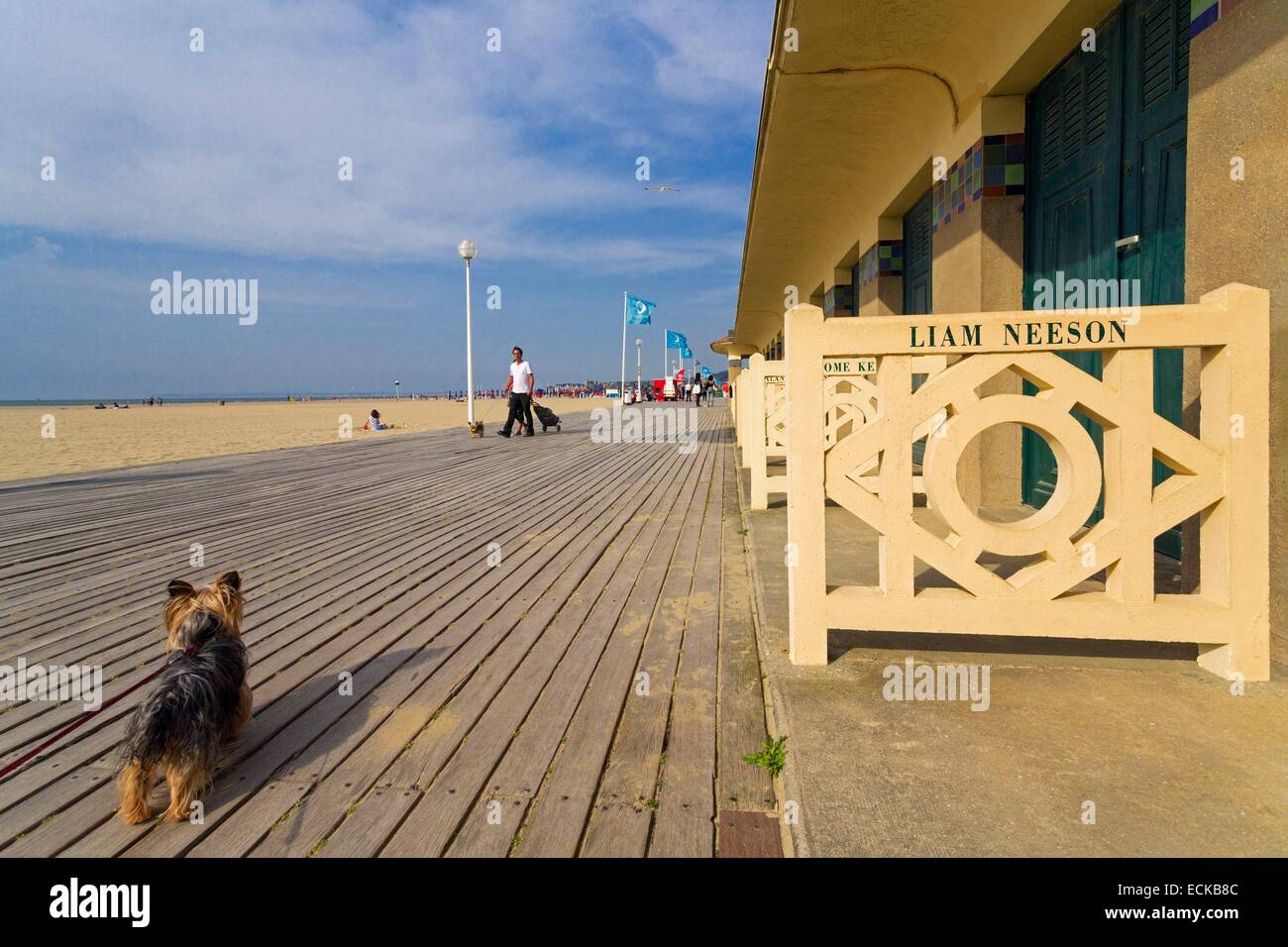 Frankreich, Calvados, Deauville, Strand, Promenade, Namen von Schauspielern und Regisseuren aus berühmten Filmen, Hund (Canis Lupus Familiaris) Yorkshire-Terrier Stockfoto