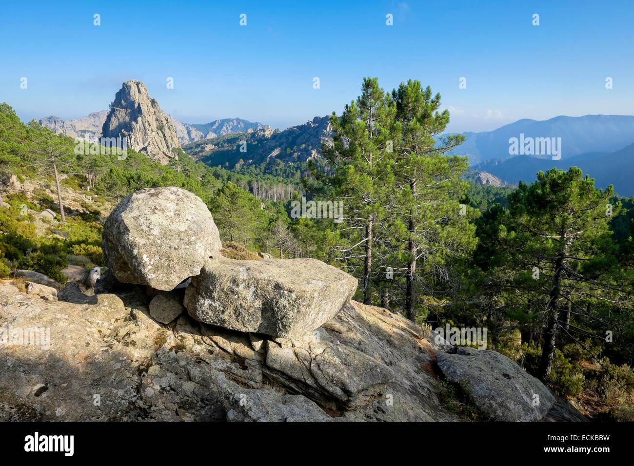 Frankreich, Corse du Sud, Wandern auf dem GR 20, zwischen Conca und ich Paliri Hütte, Punta de l ' Anima Damnata Stockfoto