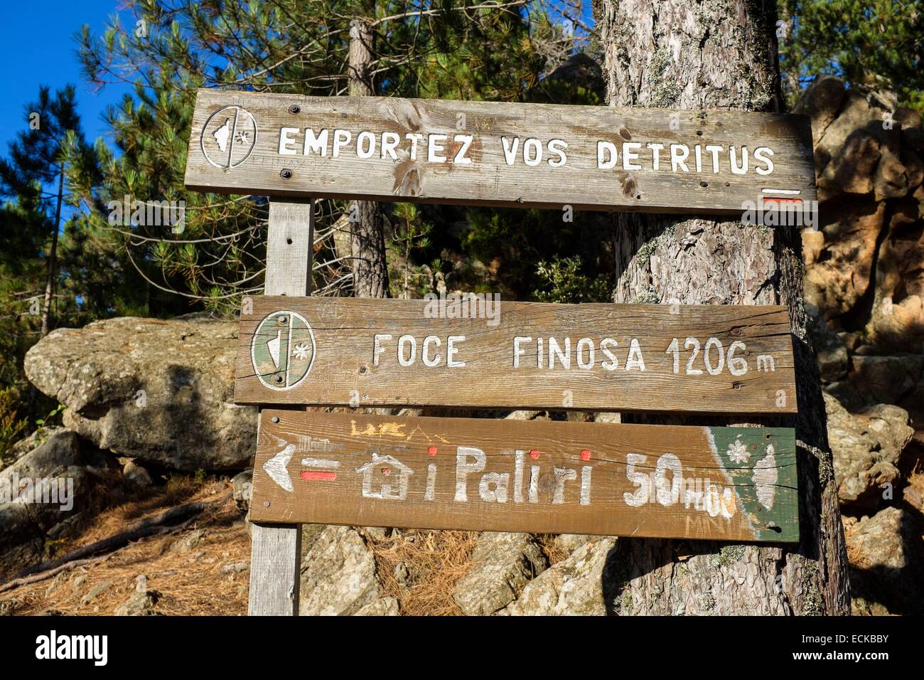 Frankreich, Corse du Sud, Wandern auf dem GR 20, zwischen ich Paliri Hütte und Asinao Zuflucht, Foce Finosa (Alt: 1206m) Stockfoto