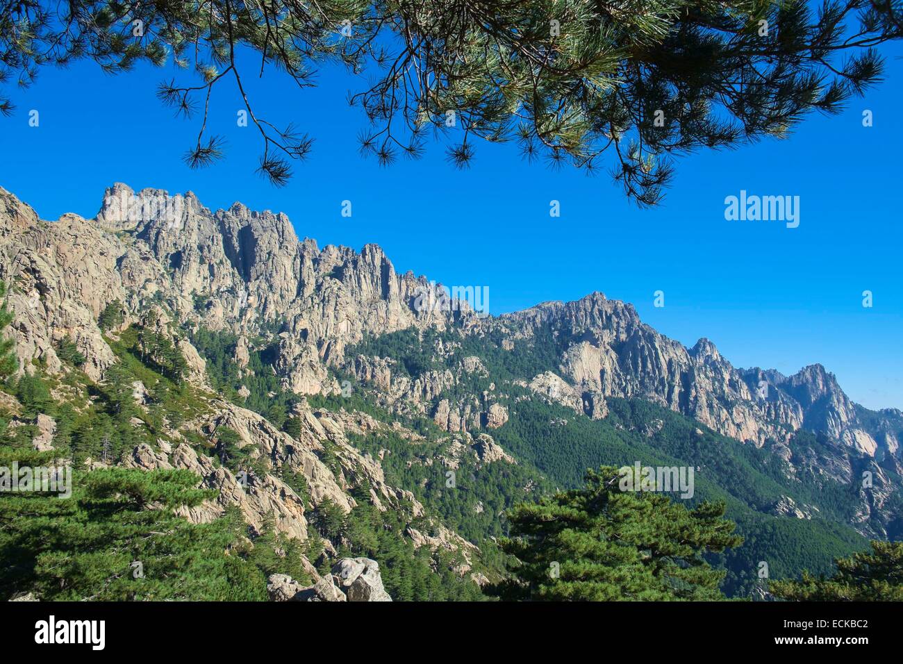 Frankreich, Corse du Sud, Wandern auf dem GR 20, zwischen ich Paliri Hütte und Asinao Zuflucht, Aiguilles de Bavella (Alt max: 1855m) Stockfoto