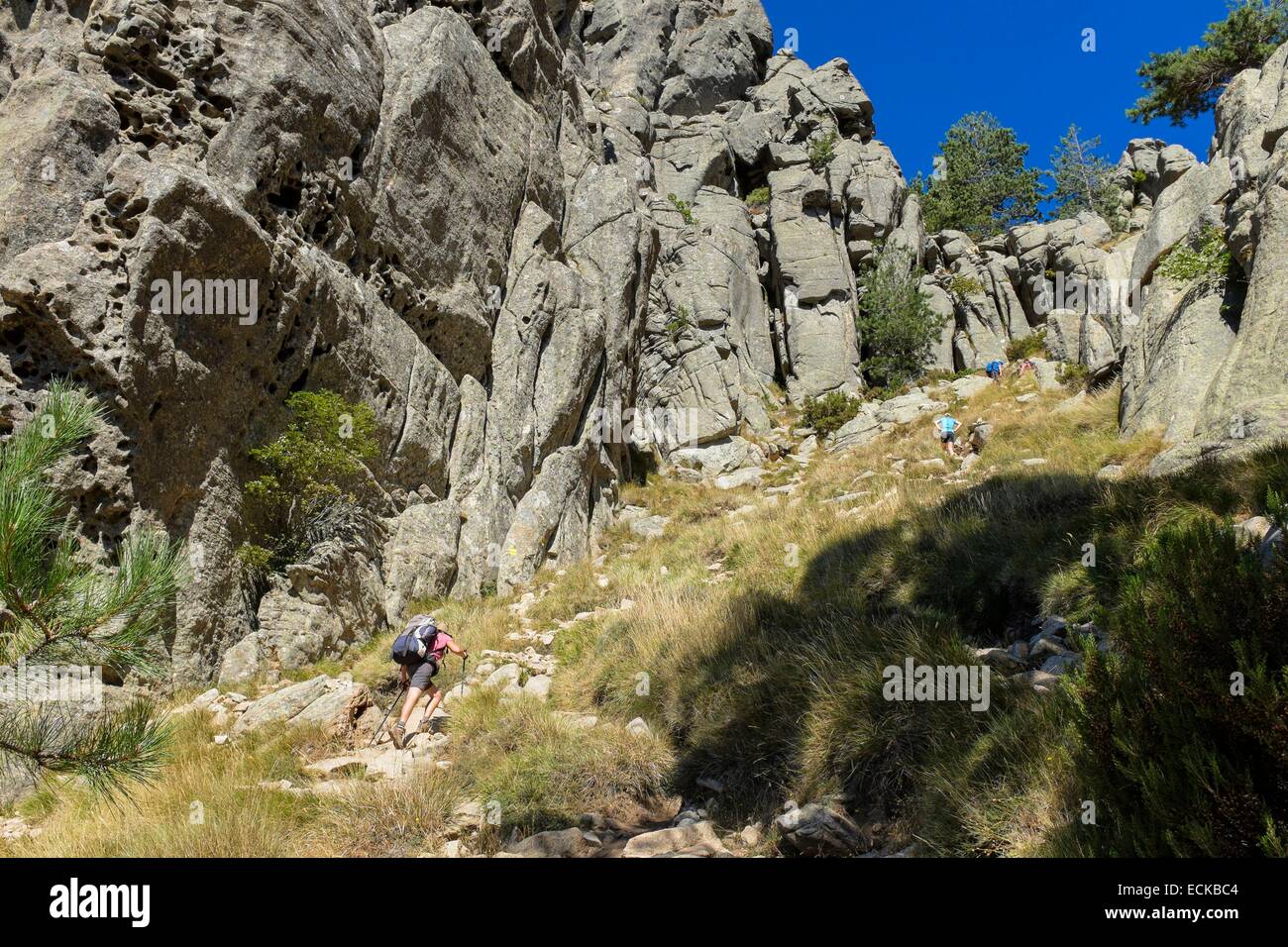 Frankreich, Corse du Sud, Wandern auf dem GR 20, zwischen ich Paliri Hütte und Asinao Zuflucht, alpine Variante Stockfoto