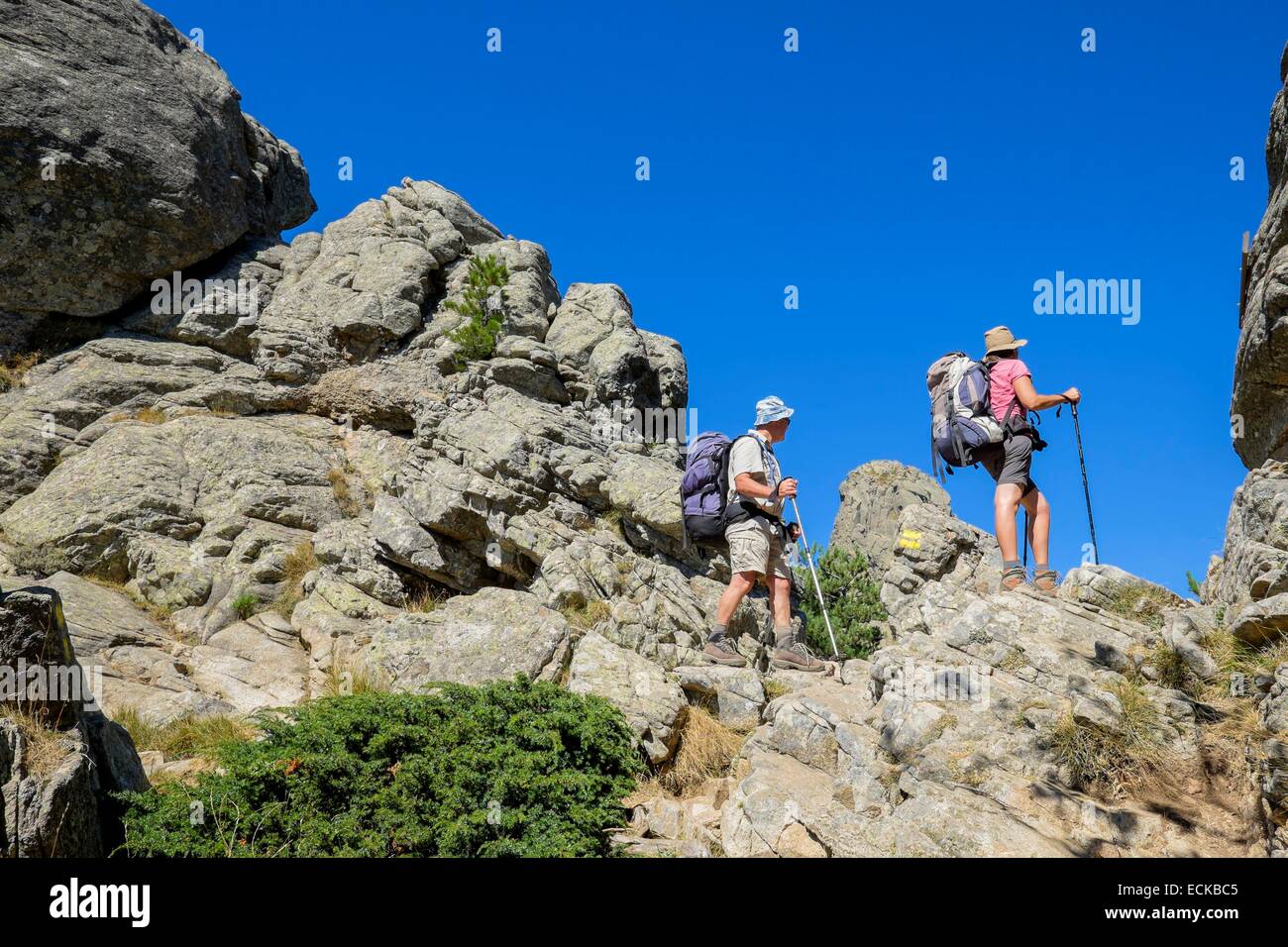 Frankreich, Corse du Sud, Wandern auf dem GR 20, zwischen ich Paliri Hütte und Asinao Zuflucht Variante Alpin, Bocca di u Truvone (Alt: 1334m) Stockfoto