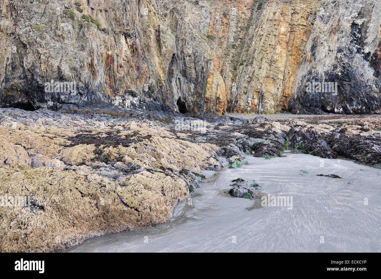 Felsen bei Newport Sands in Pembrokeshire, Westwales. Stockfoto