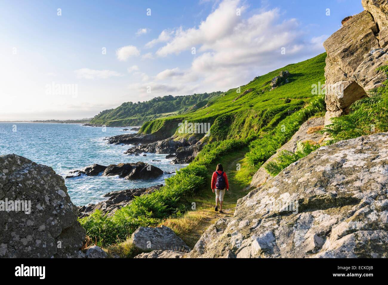 Frankreich, Manche, Cotentin, Cap De La Hague, Greville Hague, die GR 223 Patk verläuft entlang der Küste Stockfoto