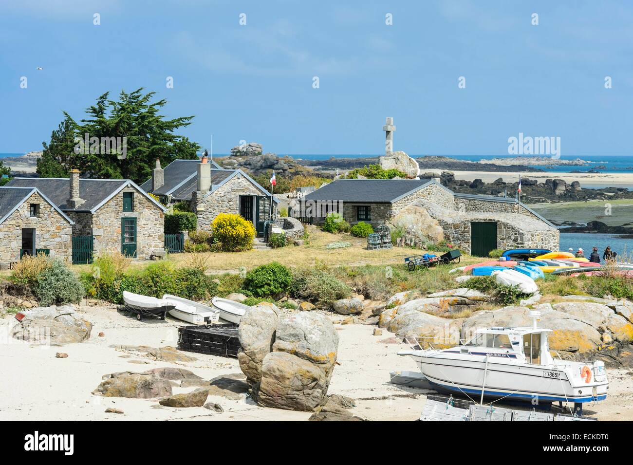 Frankreich, Manche Cotentin, Chausey Insel, Grande Ile, das Dorf Blainvillais, dessen Reetdach gebaut, um 1825 Häuser, wurden von Louis Renault restauriert Stockfoto