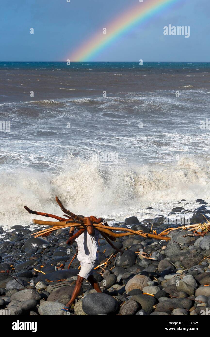 Frankreich, La Réunion (französische Übersee-Departement), Seestück Blick auf einem Regenbogen Himmel von einer Küste verwüstet durch einen tropischen Wirbelsturm, Creole Holz Äste tragen Stockfoto