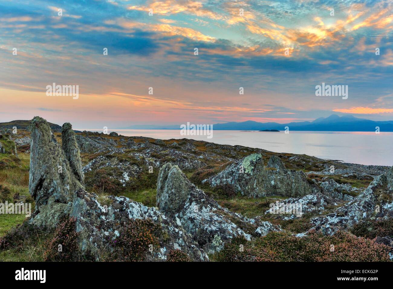Großbritannien, Schottland, Argyll und Bute, Keillmore, Loch Sween, horizontale Ansicht von Küsten Heide und Steinen bei Sonnenuntergang Stockfoto