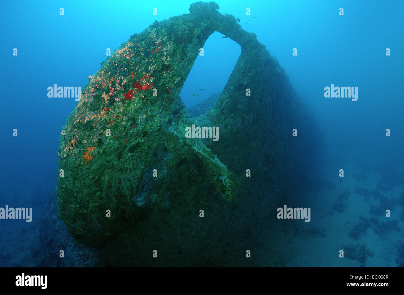 füttern Sie Schiffbruch 'SS Dunraven', Rotes Meer, Ägypten Stockfoto
