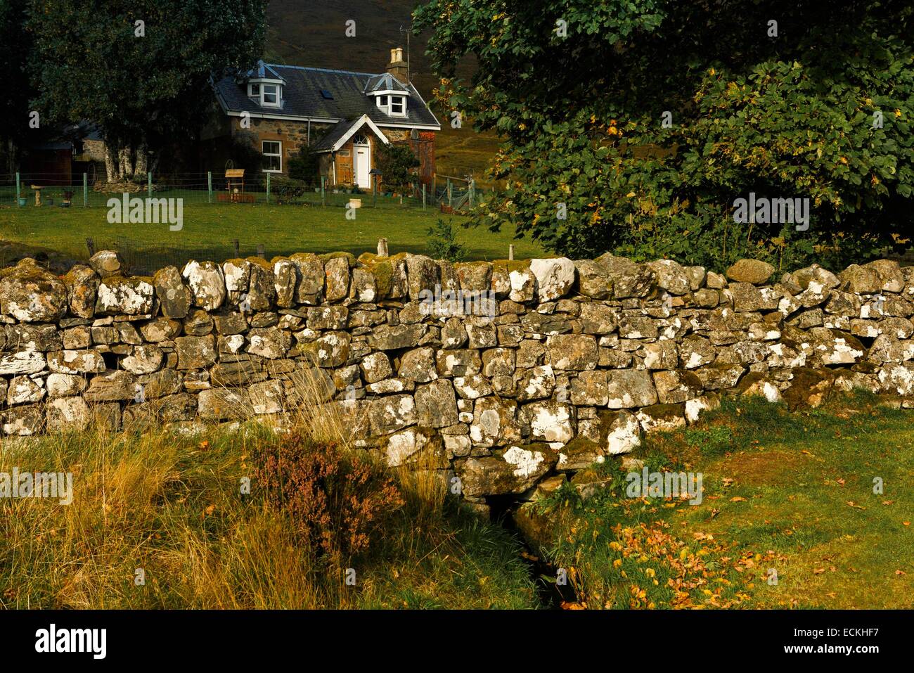 Großbritannien, Schottland, Wester Ross, Loch ein Chroisg schottischen Landhaus umgeben von einer Steinmauer im Herbst Stockfoto