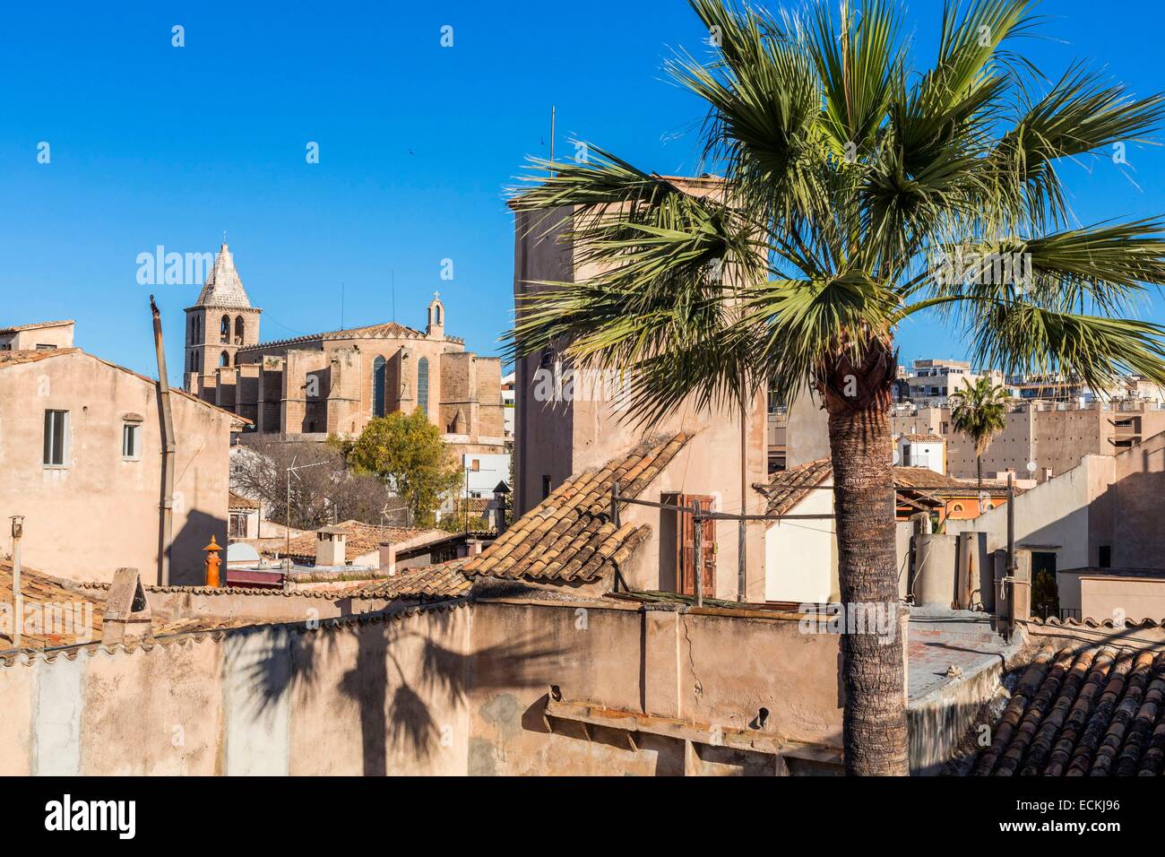 Spanien Balearen Mallorca Palma De Mallorca Altstadt Kirche Von Santa Cruz 14 15 Jahrhundert Blick Von Der Terrasse Des Hotel Puro Stockfotografie Alamy
