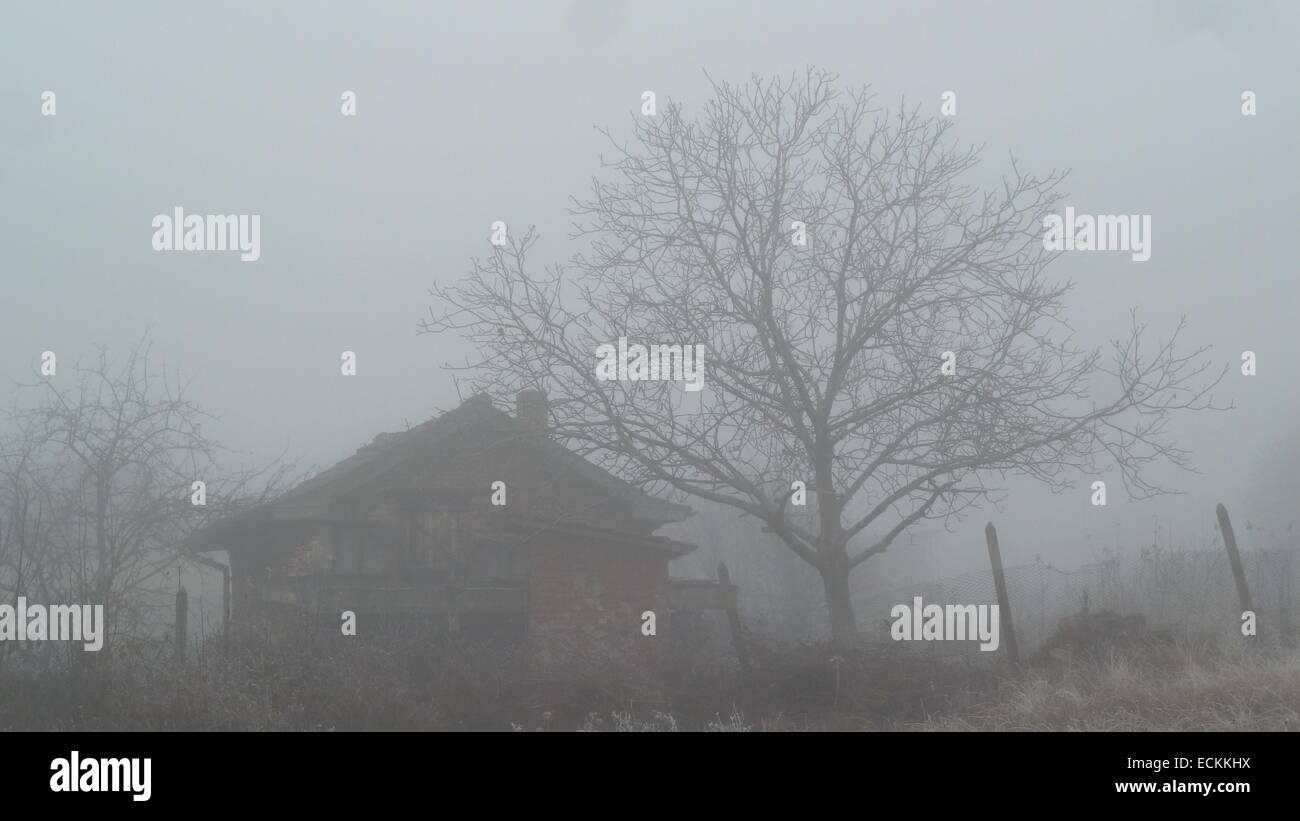 Einsame Hütte an einem nebeligen Tag Stockfoto