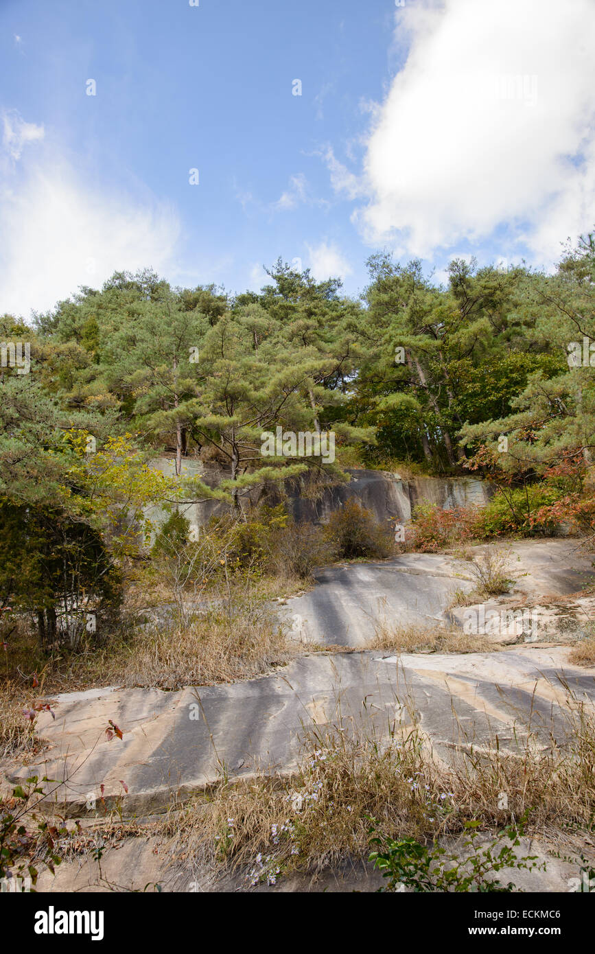 riesiger Felsen mit Bäumen in einem Berg im Herbst Stockfoto
