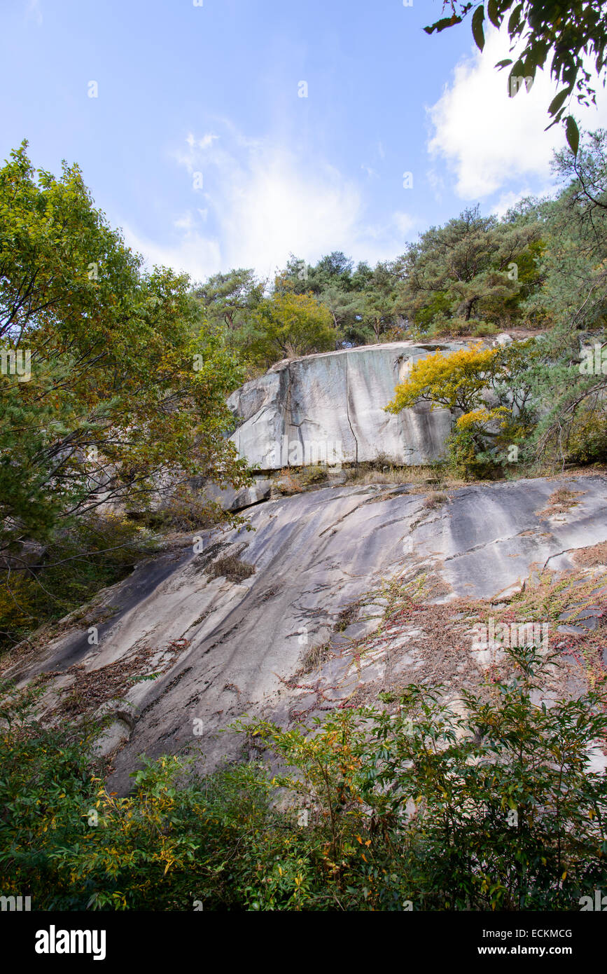 riesiger Felsen mit Bäumen in einem Berg im Herbst Stockfoto