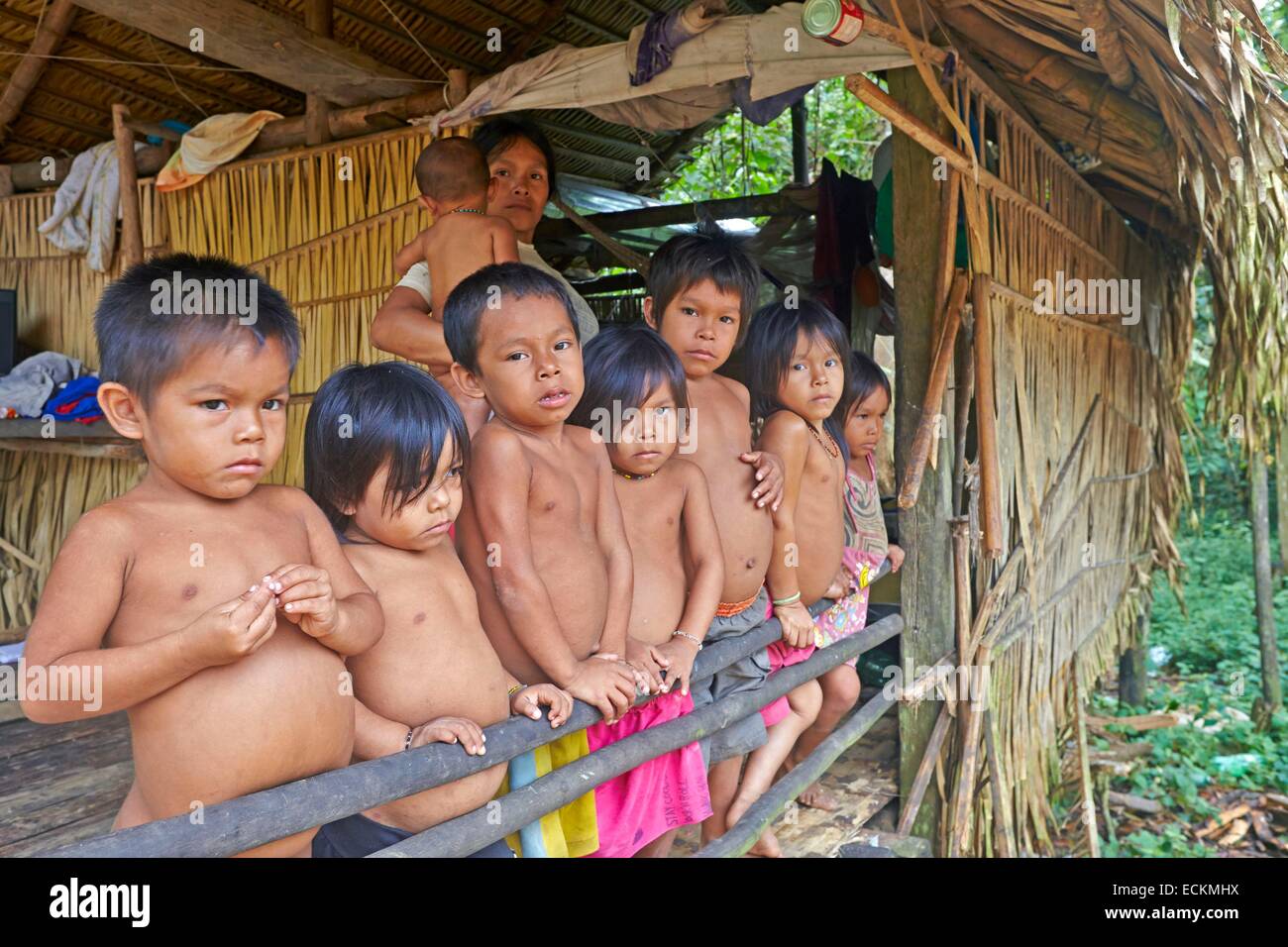 Amazon indian woman her child -Fotos und -Bildmaterial in hoher Auflösung –  Alamy