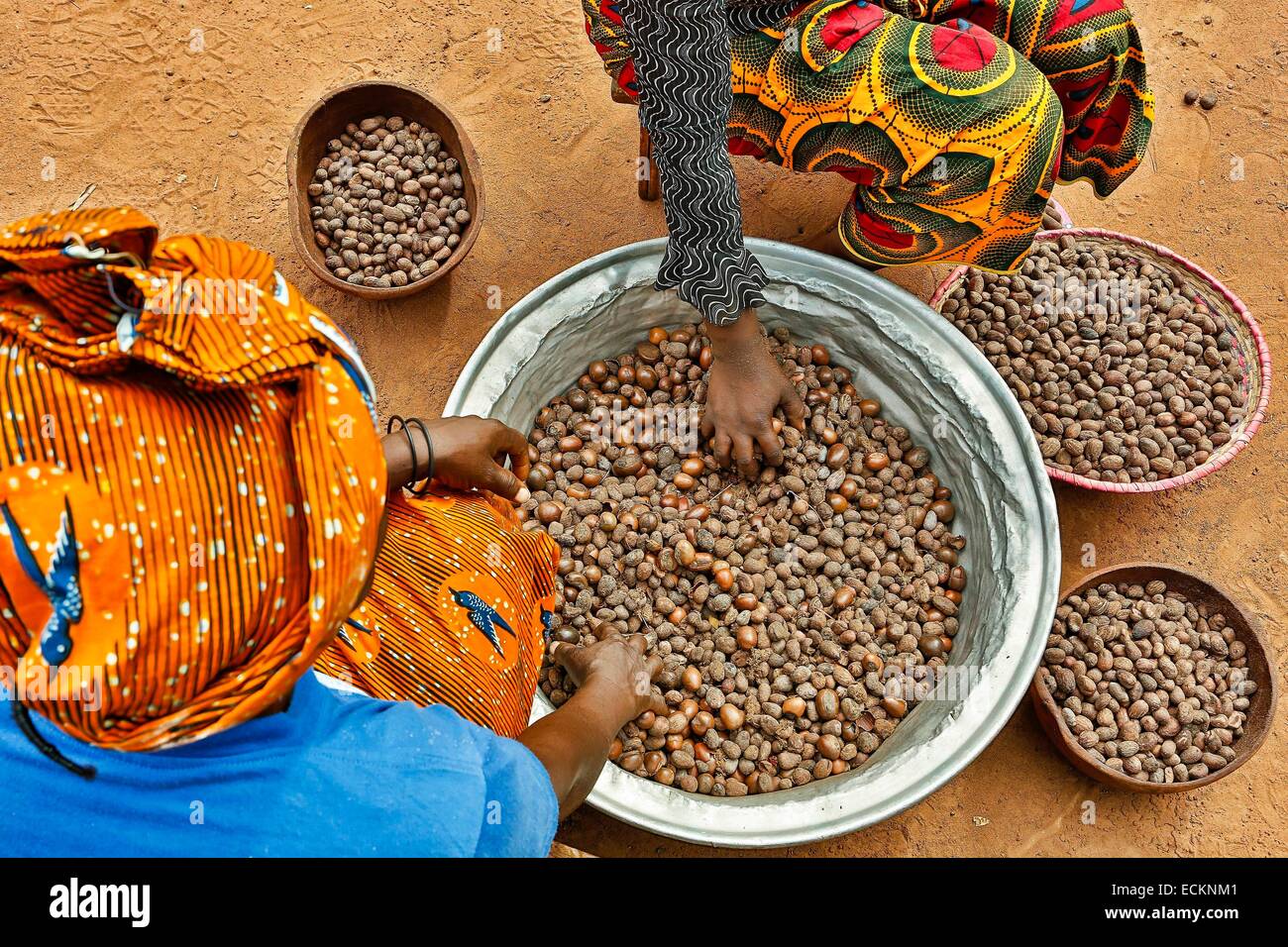 Bobo Dioulasso, Burkina Faso, Toussiana, Phase des Entwicklungsprozesses von Shea-Öl und Butter, eine Art Qualität Sheanüsse Stockfoto