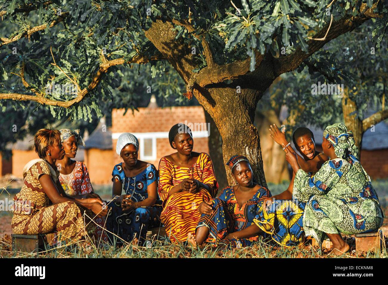 Bobo Dioulasso, Burkina Faso Toussiana, Gruppe von Frauen, die unter einem Baum, echte Palaver Karitébaum chatten Stockfoto