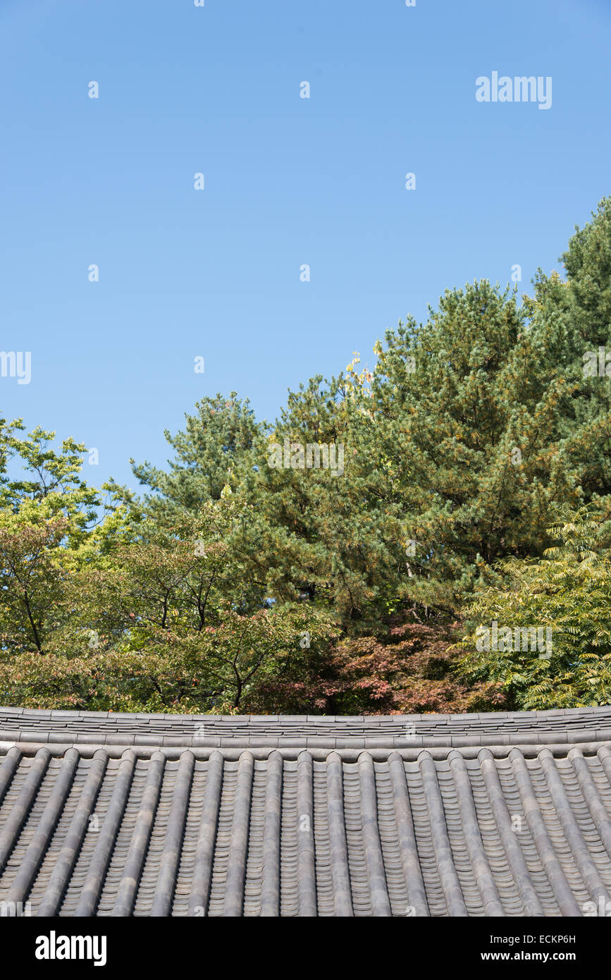 Ziegeldach der koreanischen traditionellen Architektur mit Bäumen Stockfoto