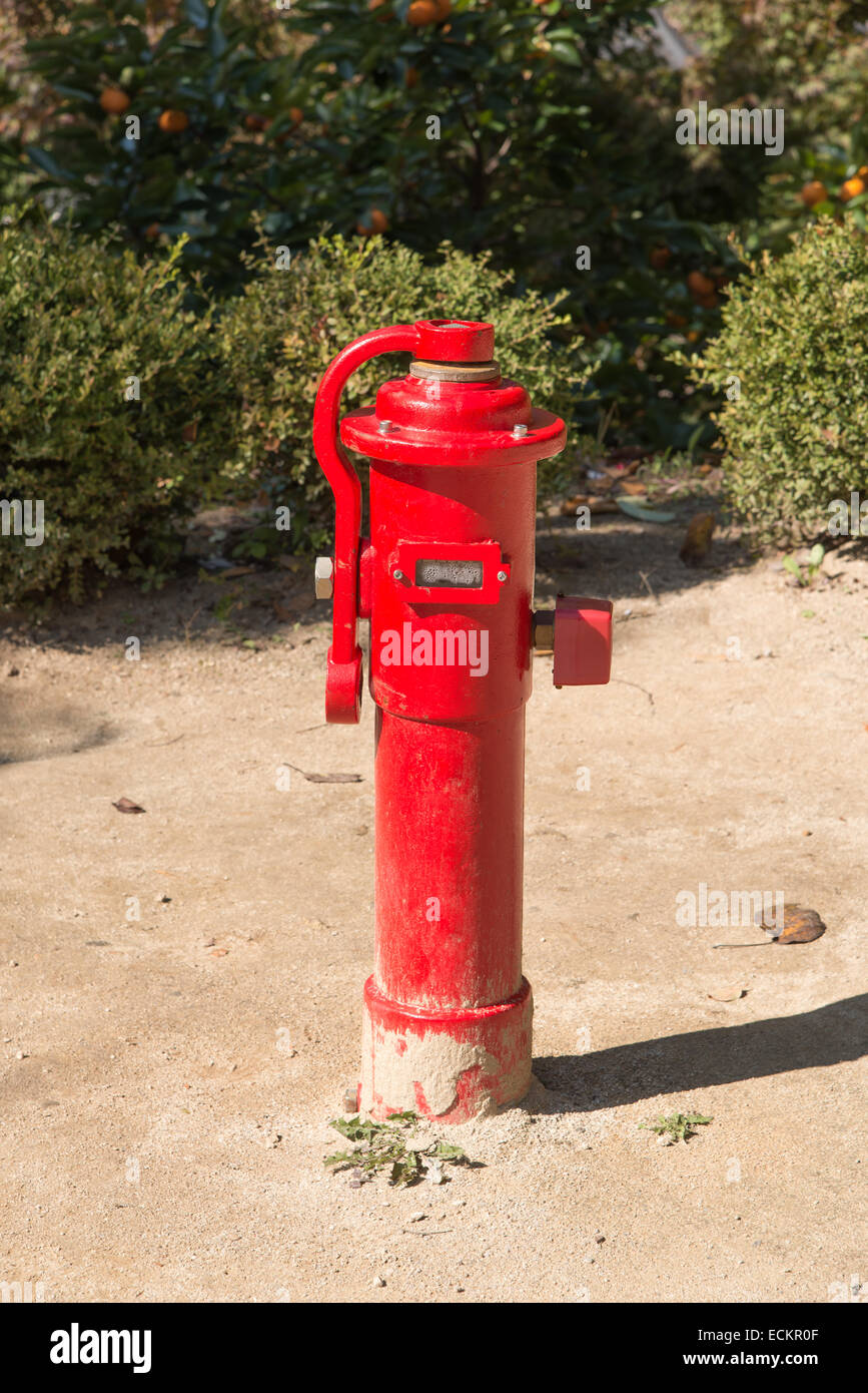rot gefärbten Hydranten in ein outdoor Stockfoto