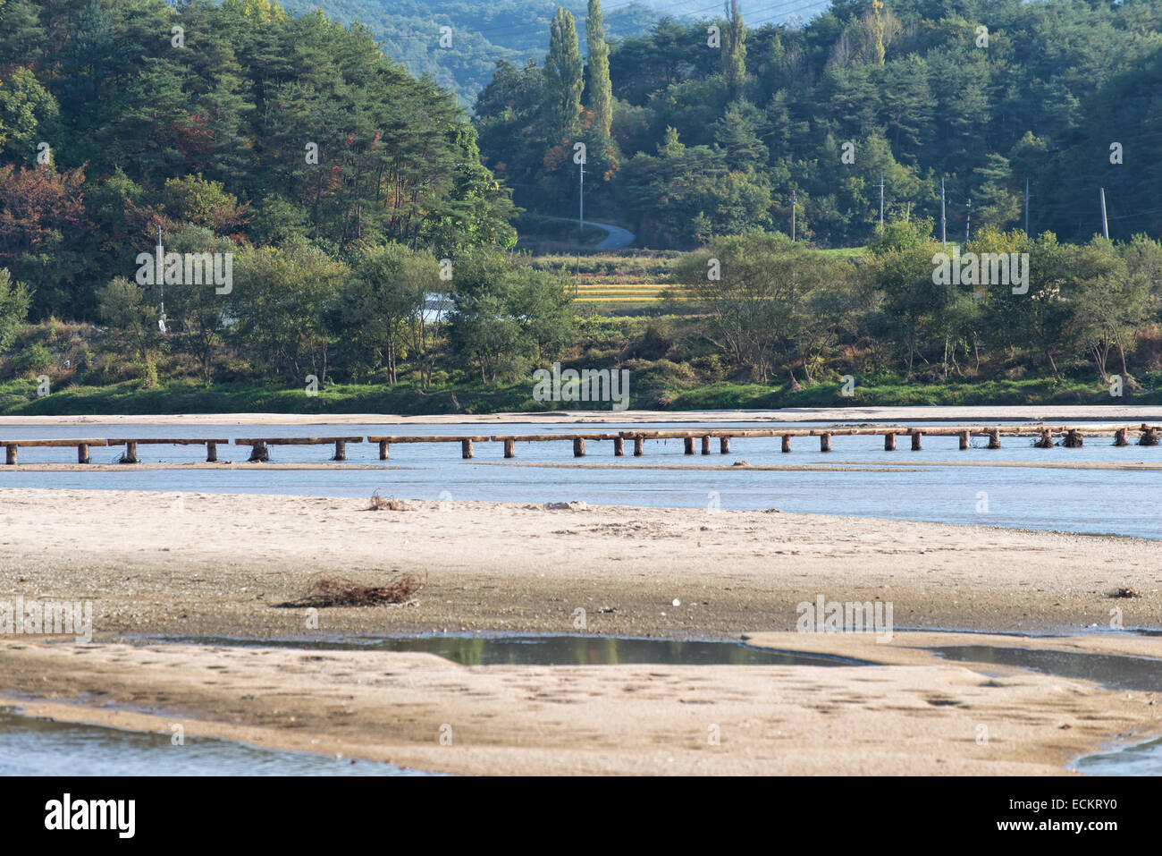 einspurige Log Brücke über einen flachen Fluss in Museom Dorf, Yeongju, Korea. Stockfoto