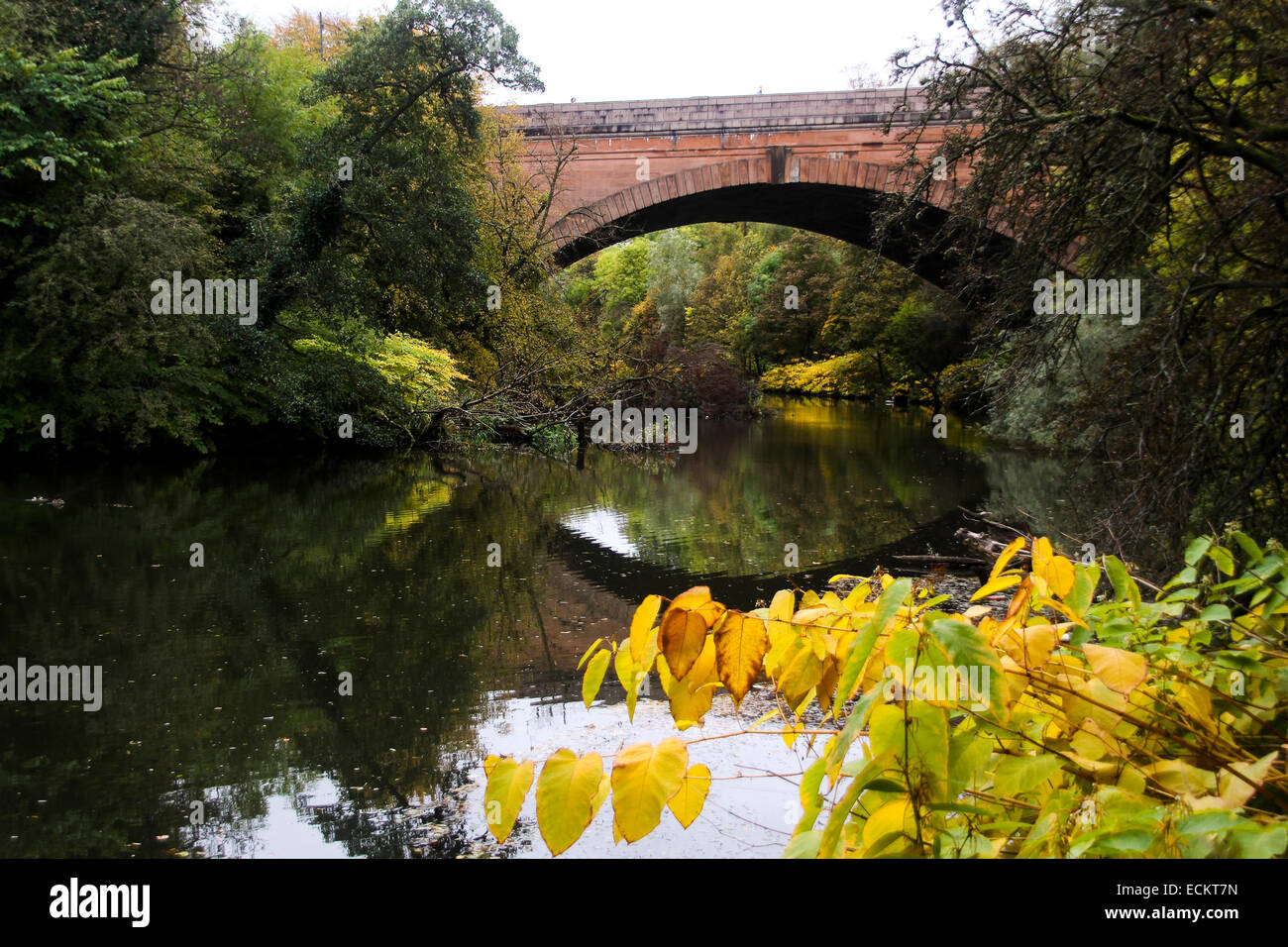Königin Margaret Brücke Fluss Kelvin Glasgow Stockfoto