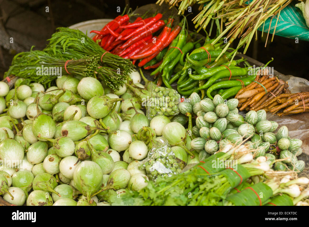 Thai Auberginen und frischen Chilis zu verkaufen, Warorot Markt (Kad Luang), Chiang Mai, Thailand Stockfoto