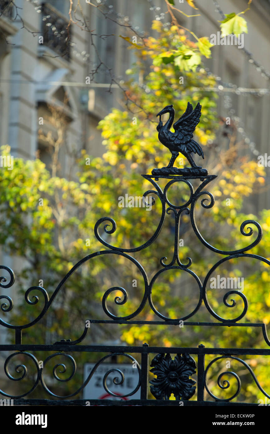 Engen Schuss von der Spitze eines Zauns Stockfoto