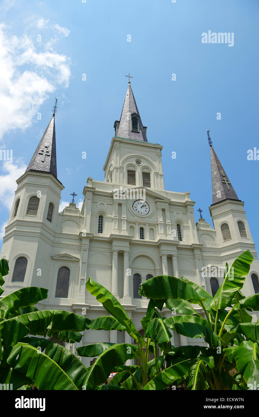 New Orleans berühmten Kirchtürme der Cathedral Basilica of Saint Louis mit Bananenpalmen im French Quarter Stockfoto