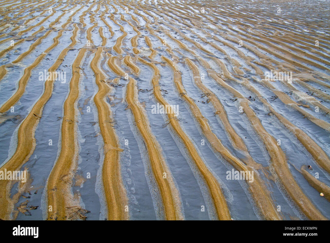 Sedimentation von Ton auf einem Muster der Wellen im Sand am Strand Stockfoto
