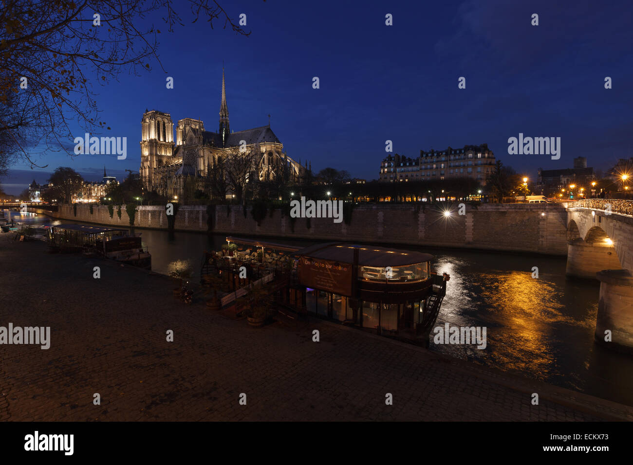 Blick auf die Kathedrale Notre Dame und der Seine nach Einbruch der Dunkelheit. Paris, Frankreich. Stockfoto