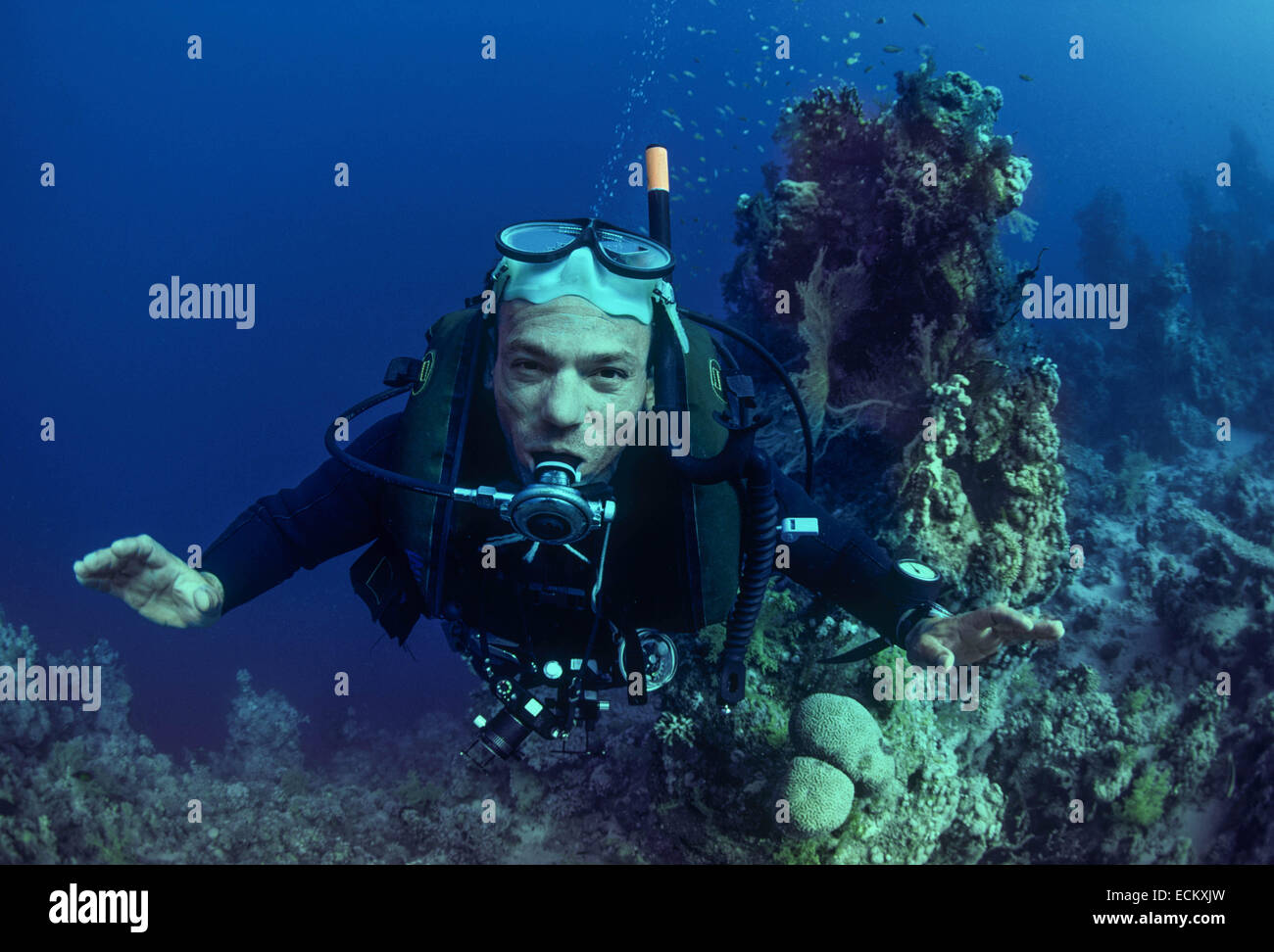 Unterwasser-Fotografen hebt Maske.  Rotes Meer Stockfoto