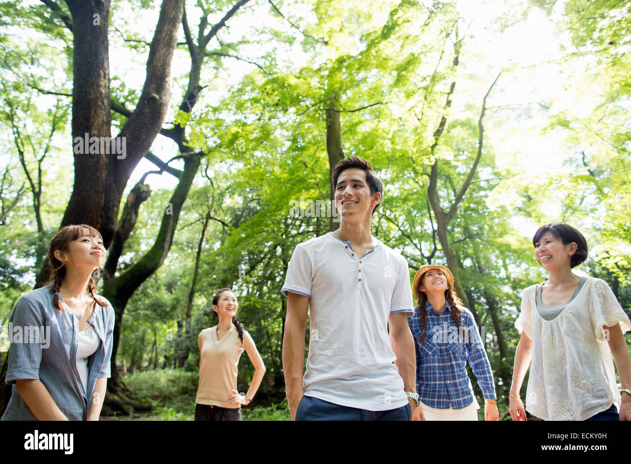 Gruppe von Freunden auf eine Party im Freien in einem Wald. Stockfoto