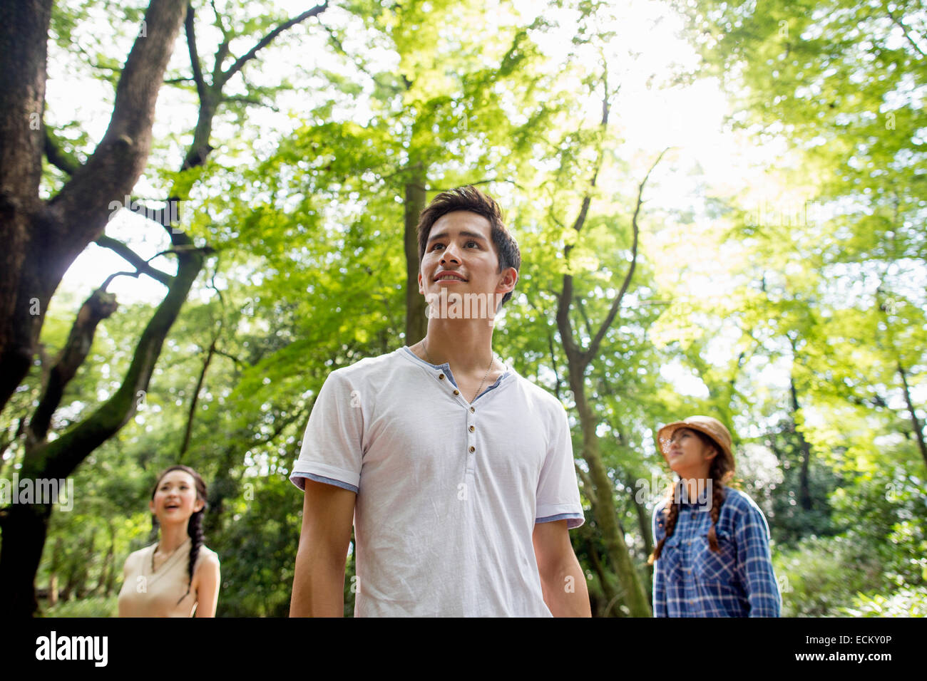 Gruppe von Freunden auf eine Party im Freien in einem Wald. Stockfoto