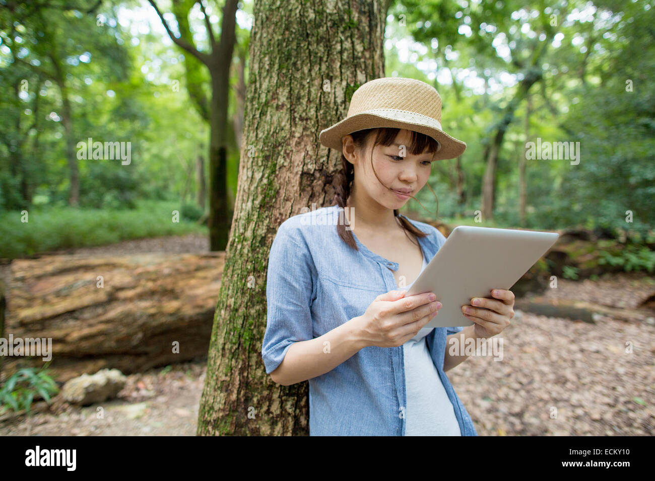 Junge Frau mit einer digital-Tablette in einem Wald. Stockfoto