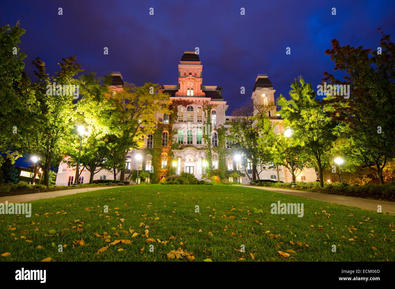 Eine starke Windböe fegt Sommer Blätter von Bäumen, Einführung von Herbst an der Syracuse University Campus zu vergießen. Stockfoto