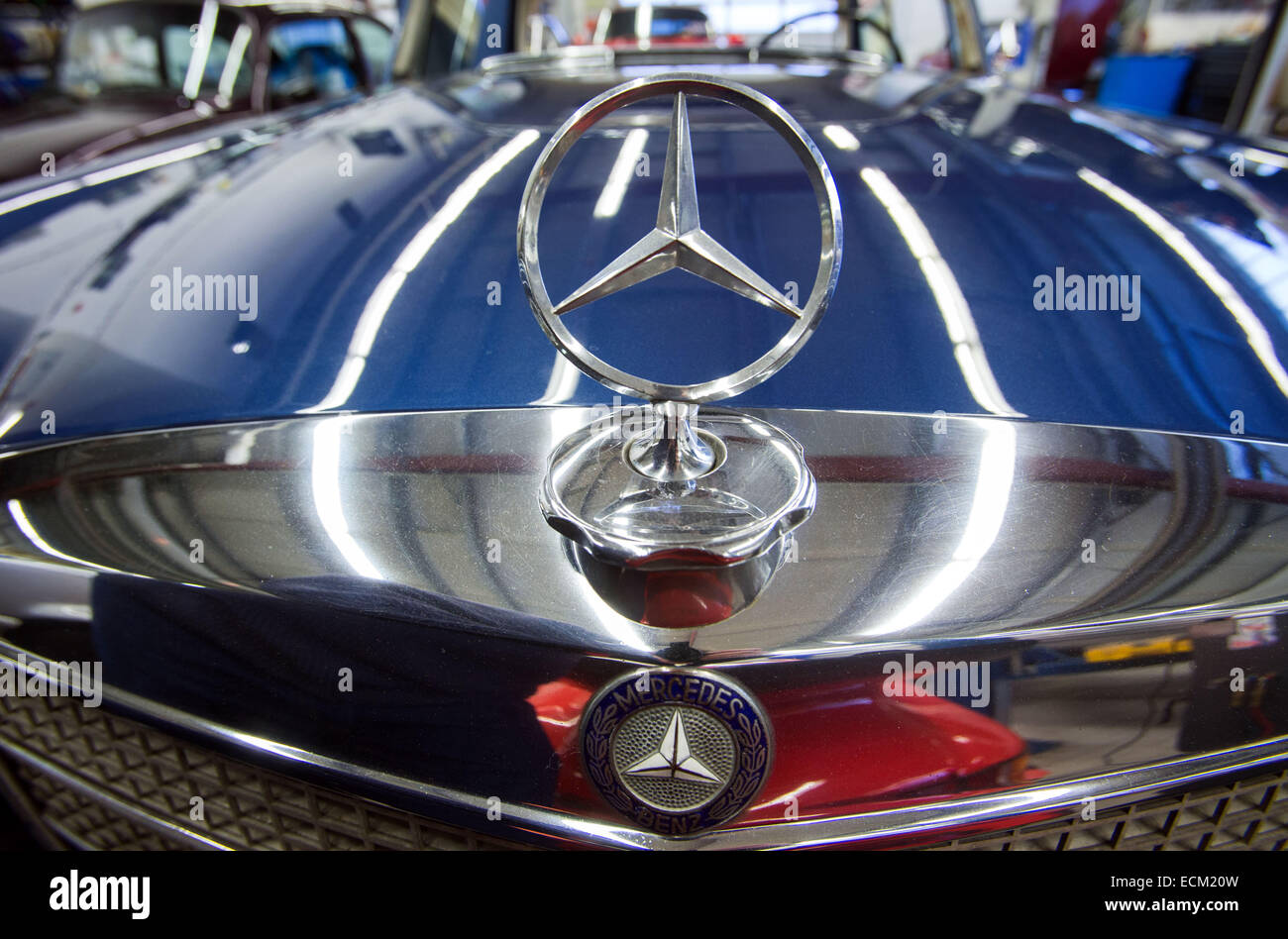 Der Mercedes-Stern ein 1970 Mercedes w 111 280 SE auf dem Display im Showroom der Retroclassic GmbH in Selmsdorf, Mecklenburg-Western Pomerania, Deutschland, 11 Decemeber 2014. Die Autofirma Umbauten und Reparaturen von alt und jung Oldtimer. Foto: Jens Büttner/dpa Stockfoto