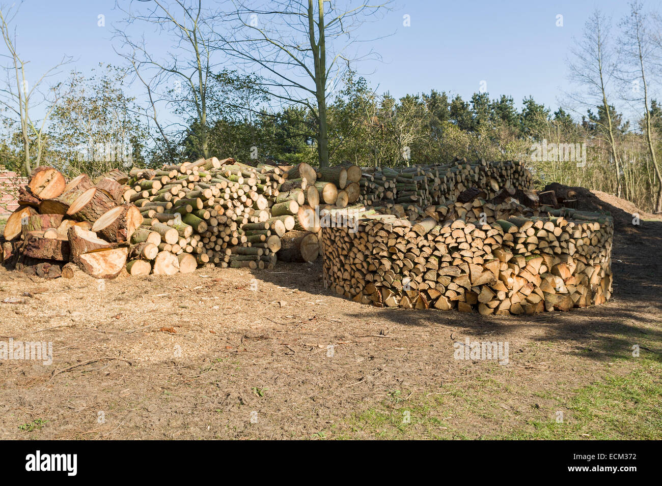 Aufbau einer Holz Hausen (Wood House) - eine Methode der Stapel Brennholz trocknen Stockfoto