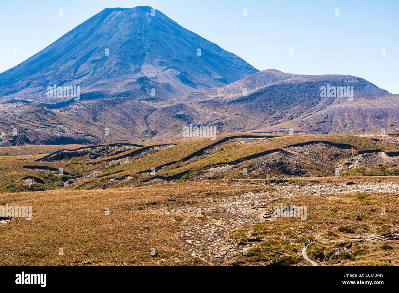 Wanderer auf der Tongariro Northern Circuit, Mt. Ngauruhoe steigt im Hintergrund, Tongariro National Park, North Island, neue Zea Stockfoto