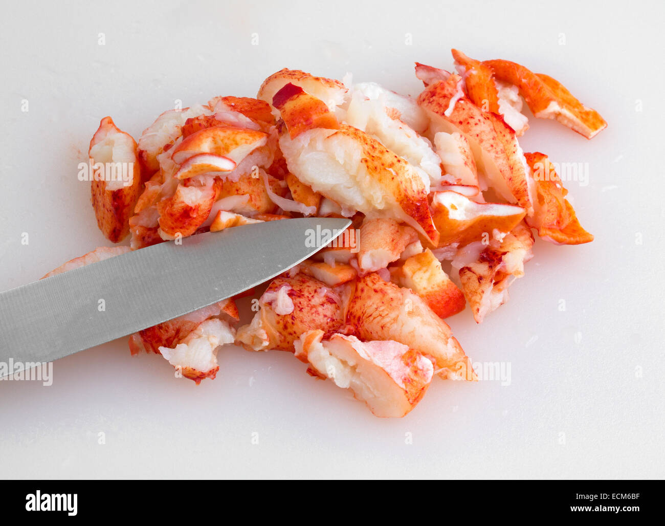 Ein Teil des geschnittenen gekochten Hummerfleisch auf ein Kunststoff Schneidebrett mit einem Küchenmesser. Stockfoto
