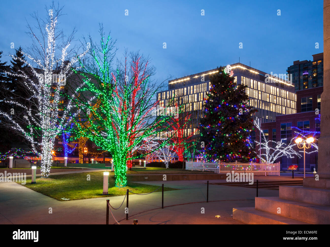 Beleuchtete Bäume in der Nähe von Rathaus in der Innenstadt von Brampton, Ontario, Kanada. Stockfoto