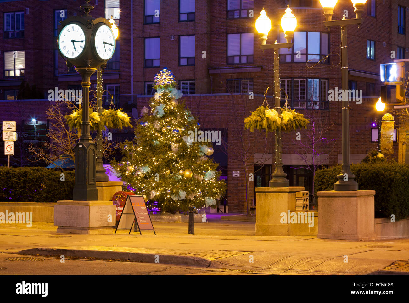 Ein Weihnachtsbaum und die Towne Square Uhr in Oakville in der Abenddämmerung. Ontario, Kanada. Stockfoto