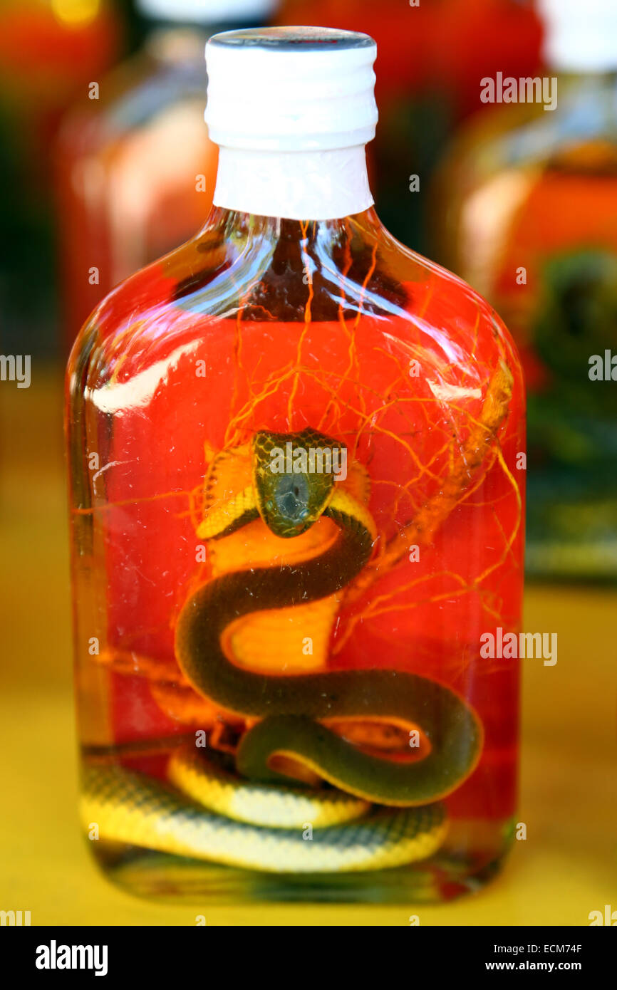 Bottle alcohol snake -Fotos und -Bildmaterial in hoher Auflösung – Alamy