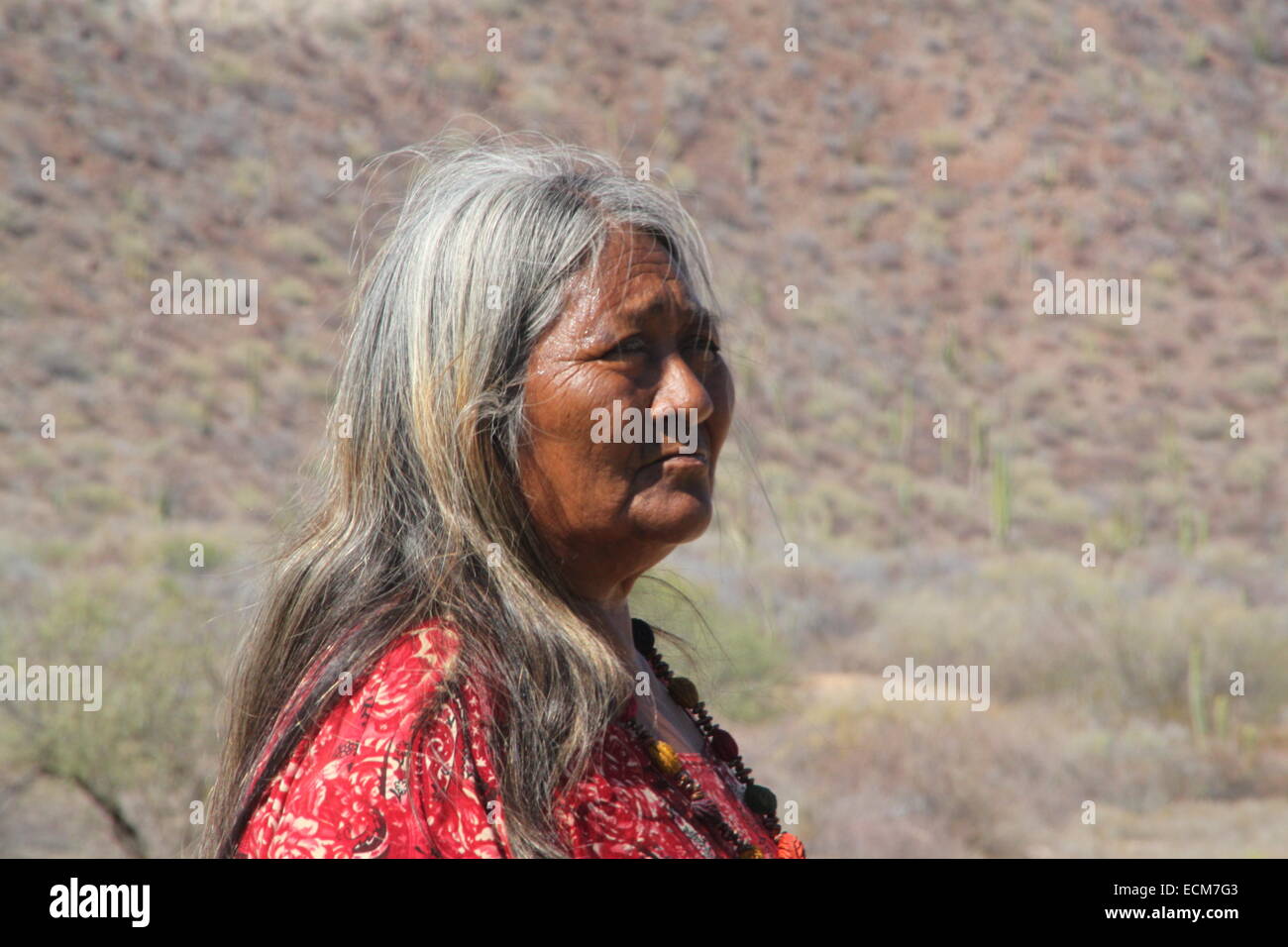 Seri-Frau in der Wüste Stockfoto